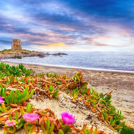 شقة Casa Luisa باري ساردو